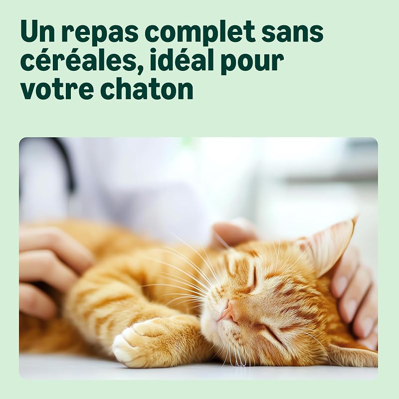 Nourriture complète pour Chat avec Recette sans céréales pour Chaton au Poulet Frais 3 kg