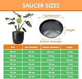 EarlyGrow 50cm Plant Pot Saucers 2-Pack 52cm Top 47cm Base 6cm Deep view 5