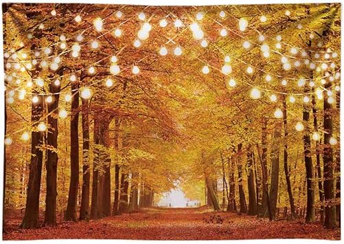 Amazon Com Funnytree 7x5ft Durable Fabric Glitter Autumn Forest Photography Backdrop Sparkle Natural Scenery Fall Landscape Leaves Party Banner Photo Backgound Decor Photocall Camera Photo