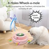 GoldenSun 3-in-1 Interactive Cat Toy Pink 2000mAh Type-C Rechargeable view 5