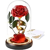 CHOSIAROSE Forever Preserved Roses - Forever Red Rose in Acrylic Dome, Preserved Flowers for Delivery Gifts for Mom Grandma Wife Anniversary Birthday Flowers Gifts for Women Her Girlfriend Valentines
