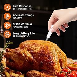 Wireless Bluetooth Meat Thermometer, Standalone