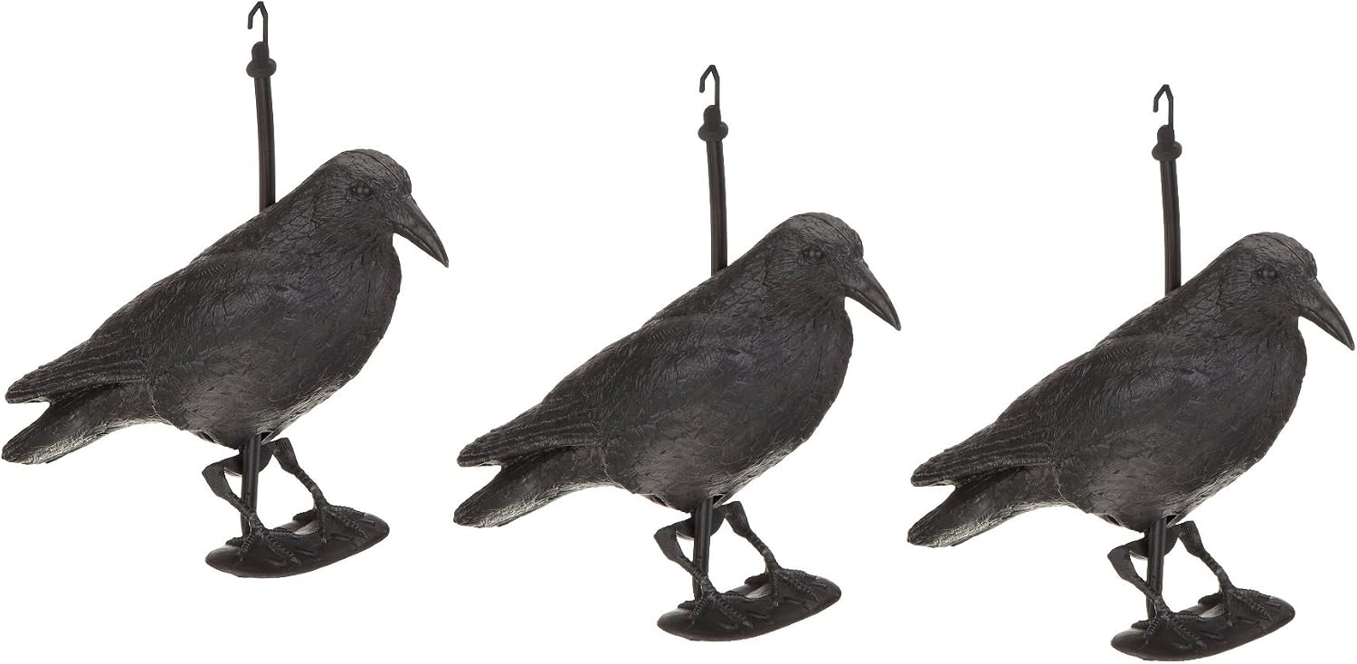 Hillfield Raven / Crow Decoy Bird Scarer, 38 cm, Black, Set of 1 - 12, 25 cm x 38 cm