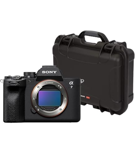 SONY - SONY α7R II ILCE-7RM2 sony85mmf1.8 Amazon.com : Sony Alpha a7R II Mirrorless Digital Camera
