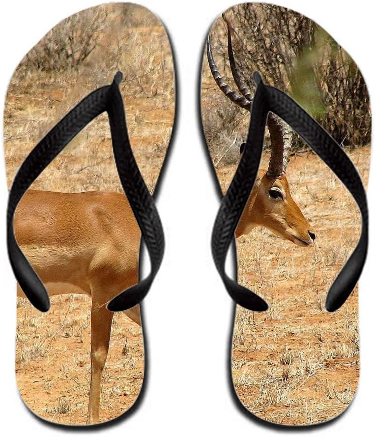 animal flip flops for men