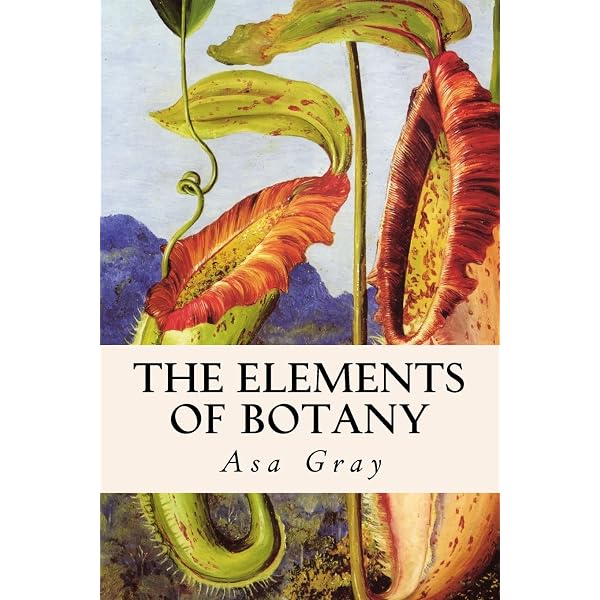Amazon.com: Essay on the Geography of Plants: 9780226054735: von Humboldt,  Alexander, Bonpland, Aim, Jackson, Stephen T., Romanowski, Sylvie,  Jackson, Stephen T.: Books