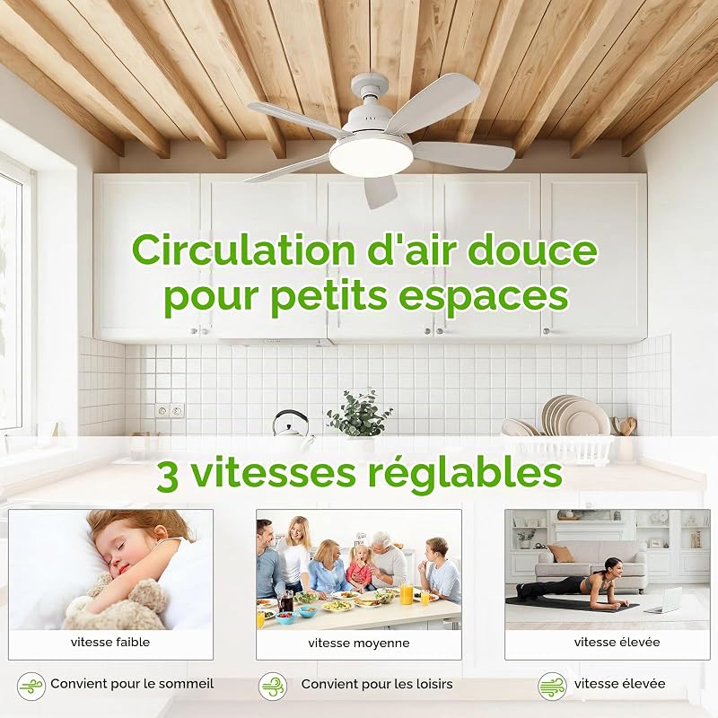 Ventilateur de Plafond avec Lumière et Télécommande, 62CM 45W Petit Ventilateur LED Dimmable, 3 Couleurs 3000-6500K, 3 Vitesses, Minuterie, Douille E27 pour Chambre, Cuisine, Salle de Bain