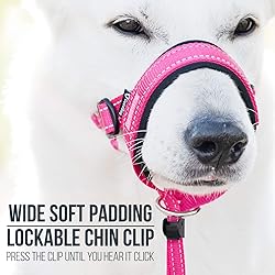 GoodBoy Dog Head Halter with Safety Strap - Stops
