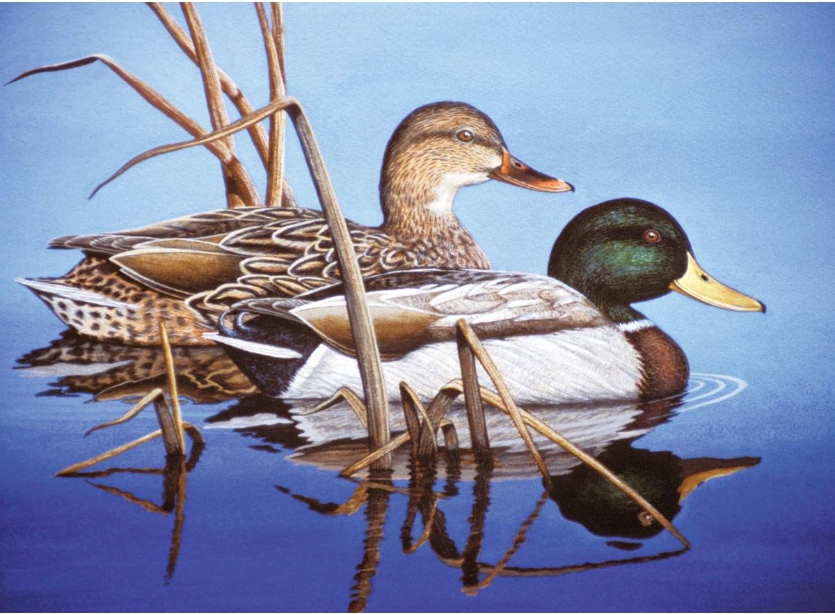 Royal Brush Paint By Number Kit 15.375-inch x 11.25-inchBlue Water Mallards, Other, Multicoloured, Multicolor, 5.17 x 42.38 x 34.76 cm