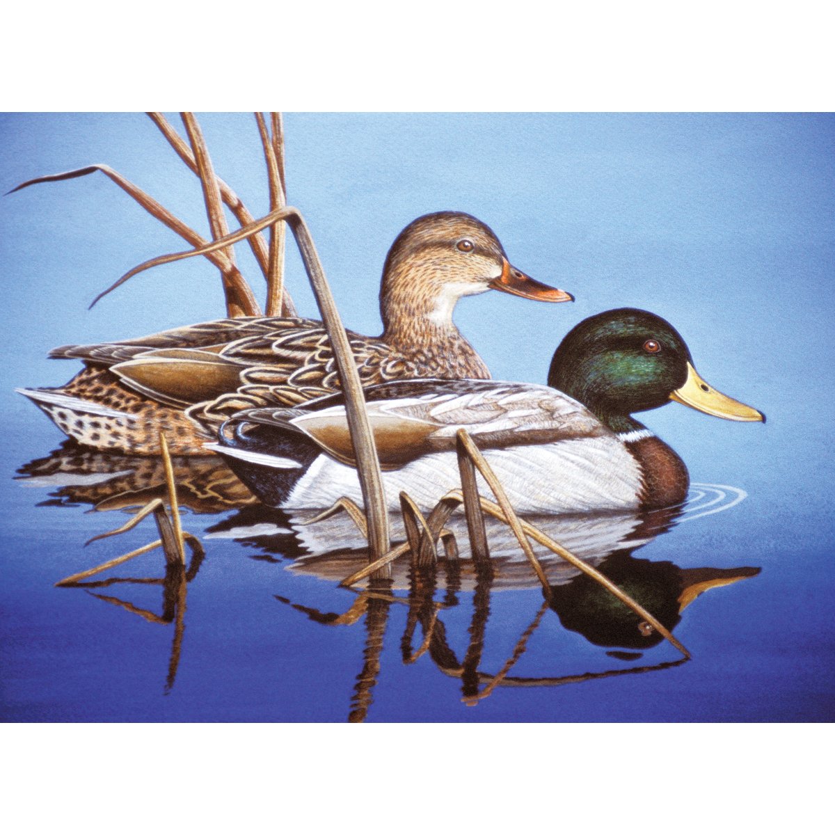 Royal Brush Paint By Number Kit 15.375-inch x 11.25-inchBlue Water Mallards, Other, Multicoloured
