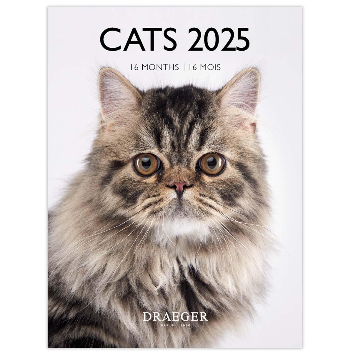 DRAEGER PARIS 1886 - Small Cat Wall Calendar 2025-14 x 18 cm - September 2024 to December 2025-12 Photos - 7 Languages - High Quality Paper - Compact & Elegant Organization - Ideal Gift
