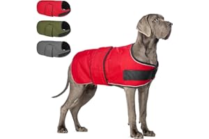 BEAUTYZOO Reflective Dog Winter Coat for Small Medium Large Great Dane Dogs,Winter Dog Jacket with Fleece Lining Dog Cold Weather Coat,Oxford Canvas Waterproof Windproof Dog Clothes,Easy Wear Dog Vest