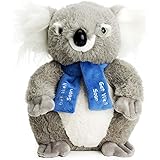 Bear of Allan Koala Bear Stuffed Animal - Get Well Soon Gift, Embroidered Scarf, Super Soft Plush, 10 Inch, Grey