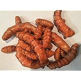 USDA Organic Turmeric Whole Raw Root (2 Pound)