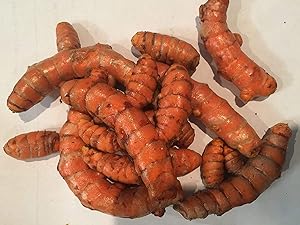 Turmeric Root - Whole Raw Organic Root - 5 Lb. Lots by Fiji Fresh