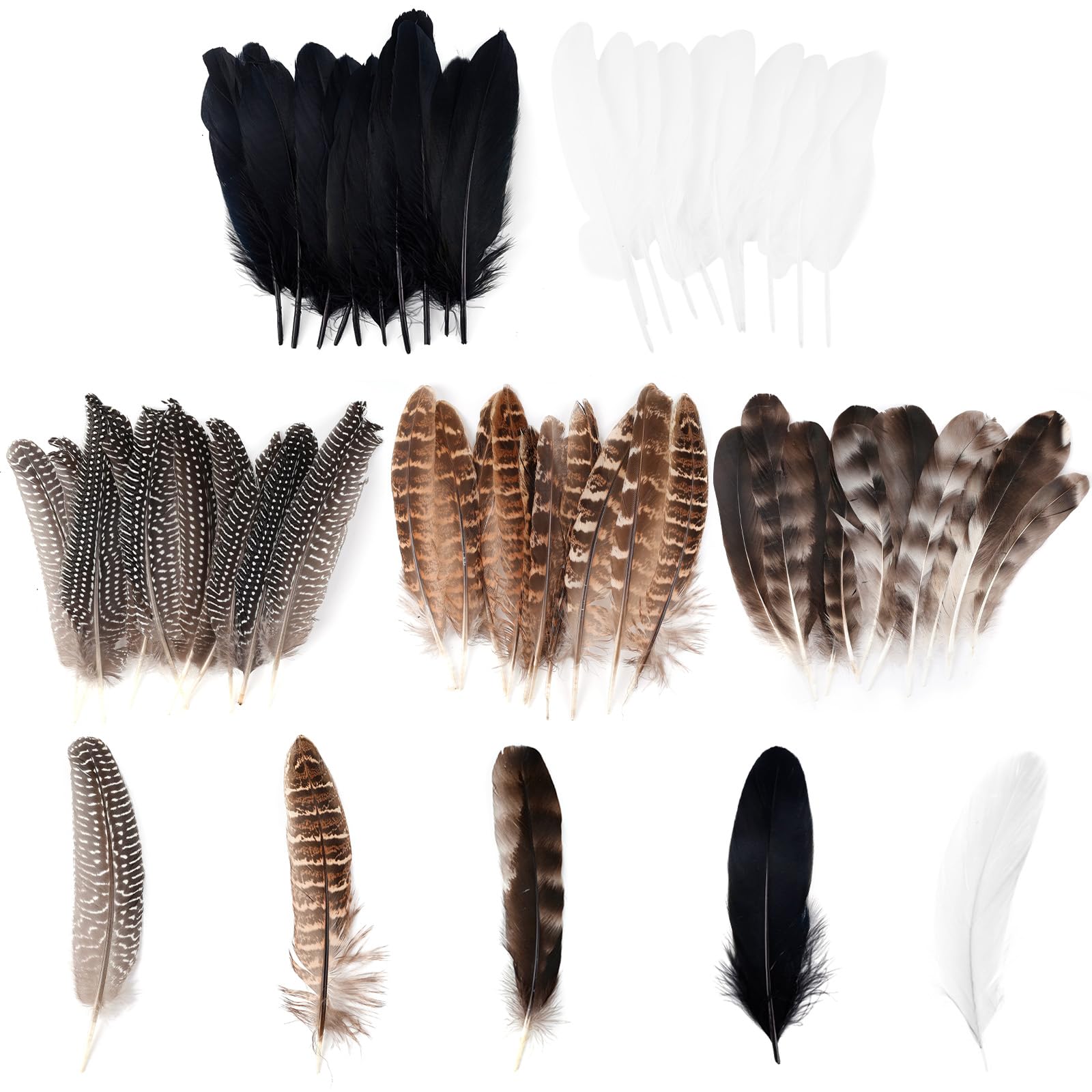 TOTSUN 50 DIY Decoration Feathers, 10-25cm Craft Feathers 5 Style Mixed Natural Feathers for DIY Craft Carnival WedDecor Mask Wedding Party Decorations Flower Arrangements