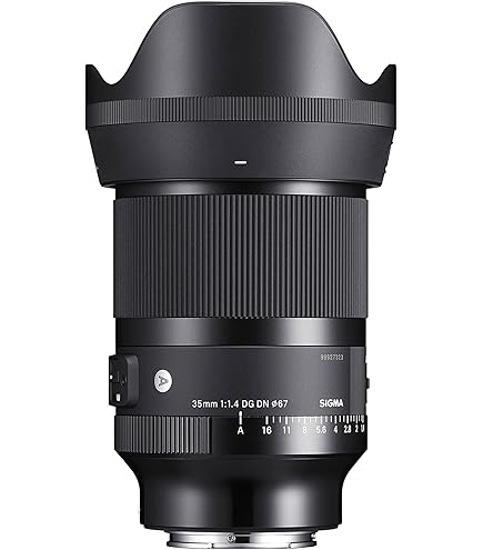 Amazon.com : 35mm F1.4 DG DN for Sony E Mount : Electronics