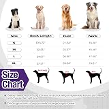 OUOBOB Waterproof Dog Raincoat Four-Loot Adjustable Hooded Poncho view 5