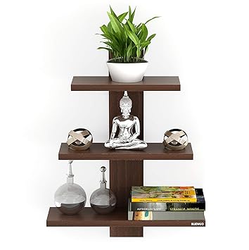 Bluewud Phelix Wall Decor Book Shelf/Wall Display Rack (3 Shelves) - Ideal for Gift.