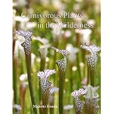 Carnivorous Plants in the Wilderness