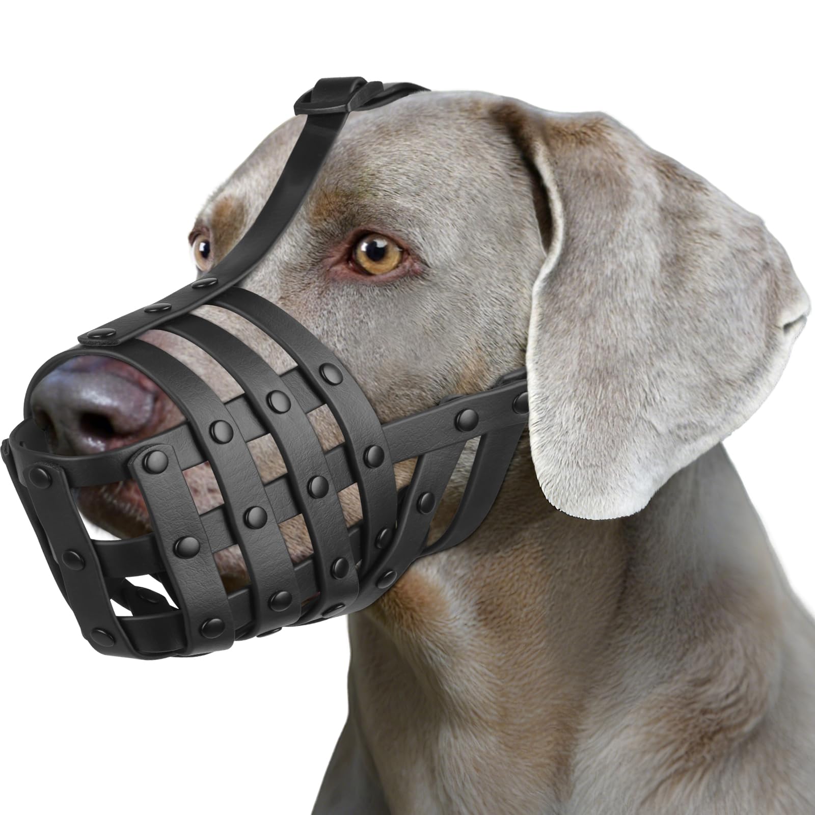 Photo 1 of Mayerzon Dog Muzzle for Medium Large Dogs, Humane Basket Muzzle, Soft & Lightweight & Adjustable | Anti Biting Chewing Eating, Suits Training Walks Grooming Vet Visits, Drink & Pant Easily (Black, M)
