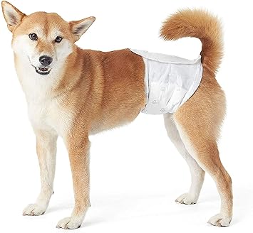 small male dog wraps