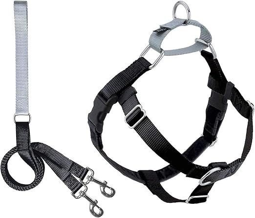 2 hounds dog harness
