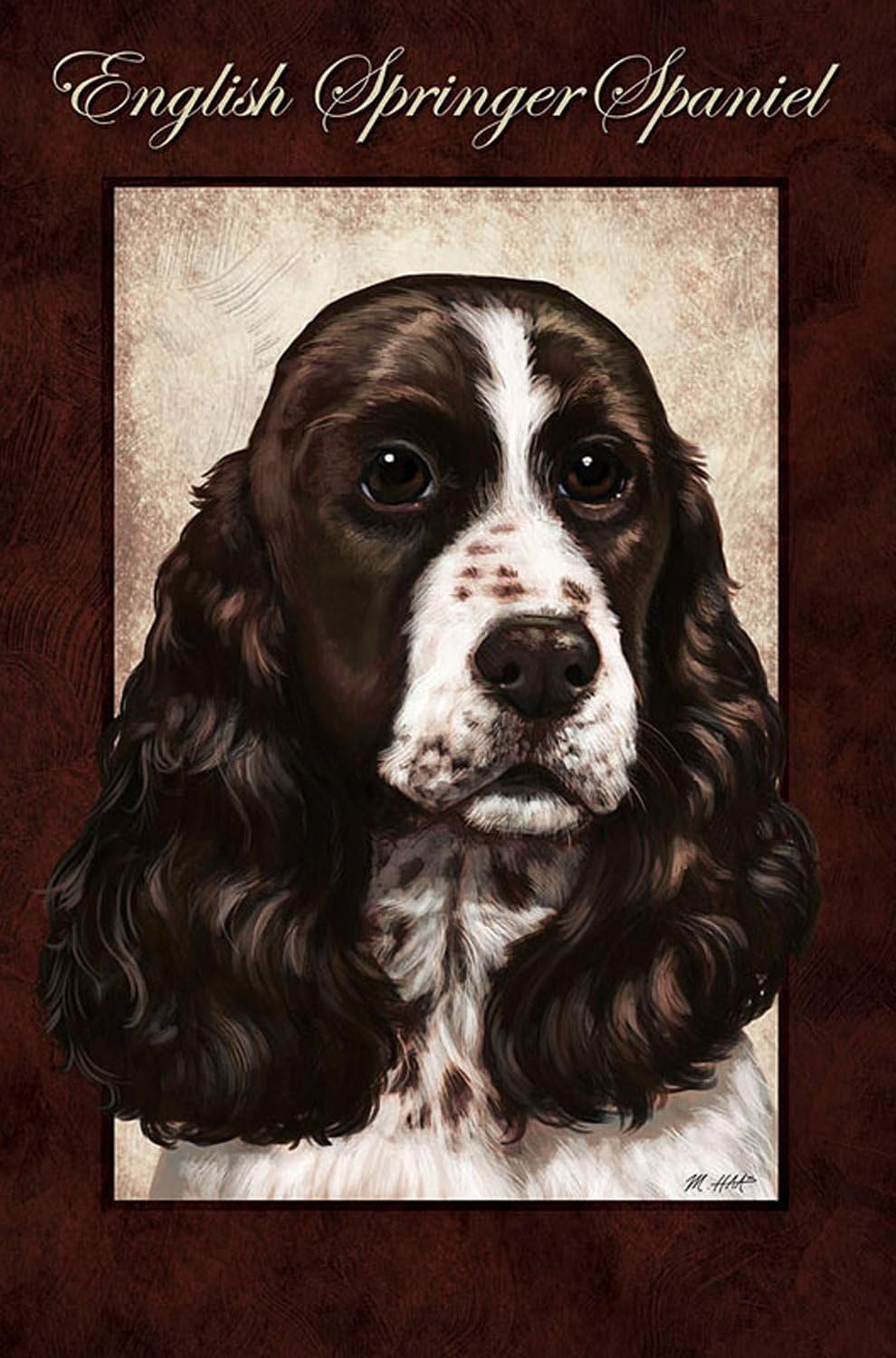 springer spaniel size