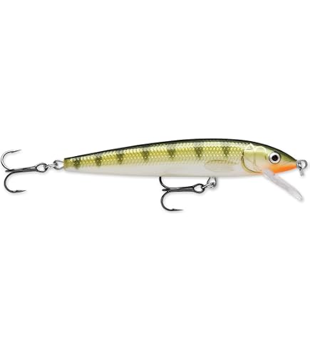 Amazon.com : Rapala Husky Jerk 12 Fishing Lure - Gold : Boating