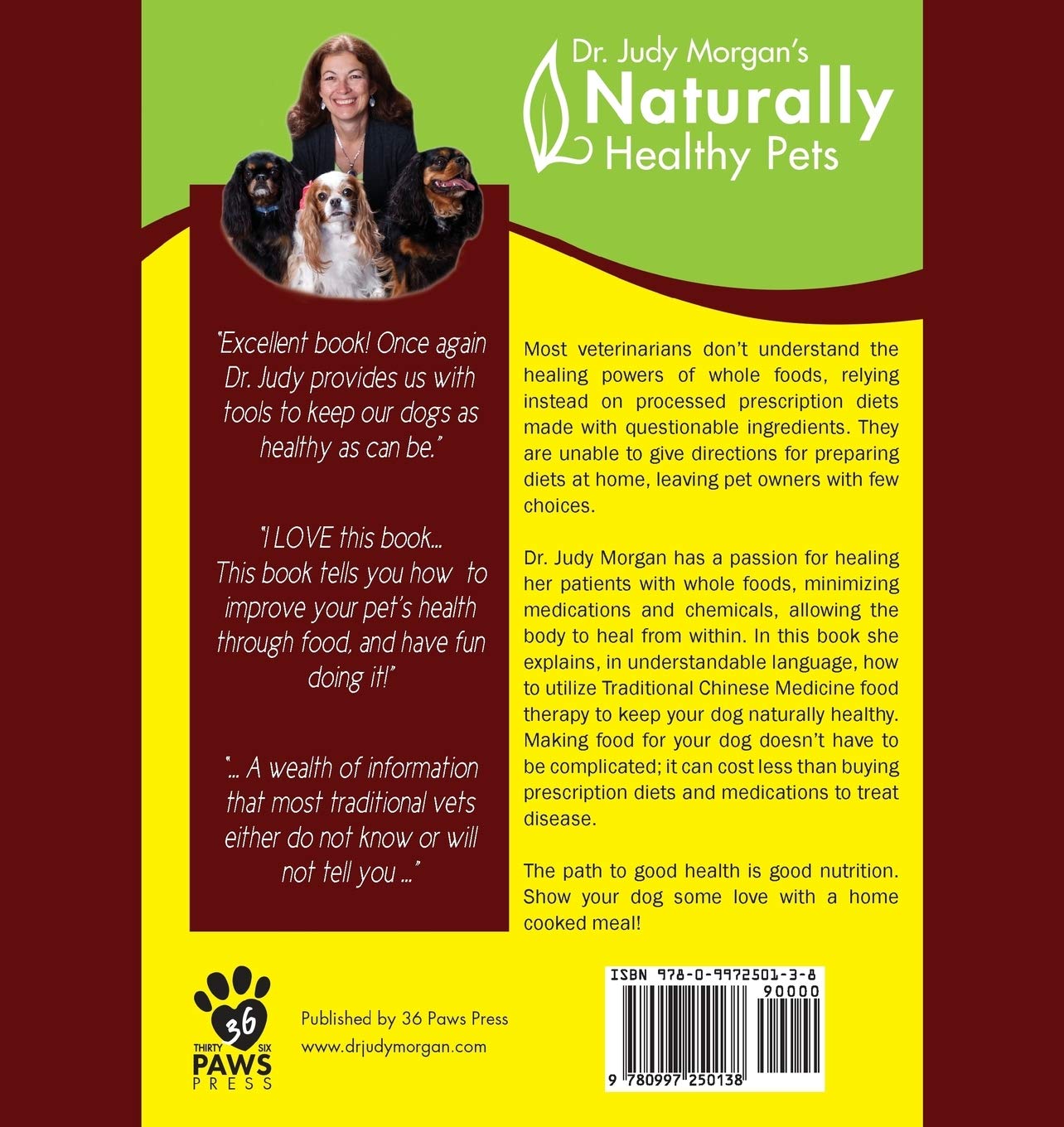 Yin and yang nutrition for dogs Clearance