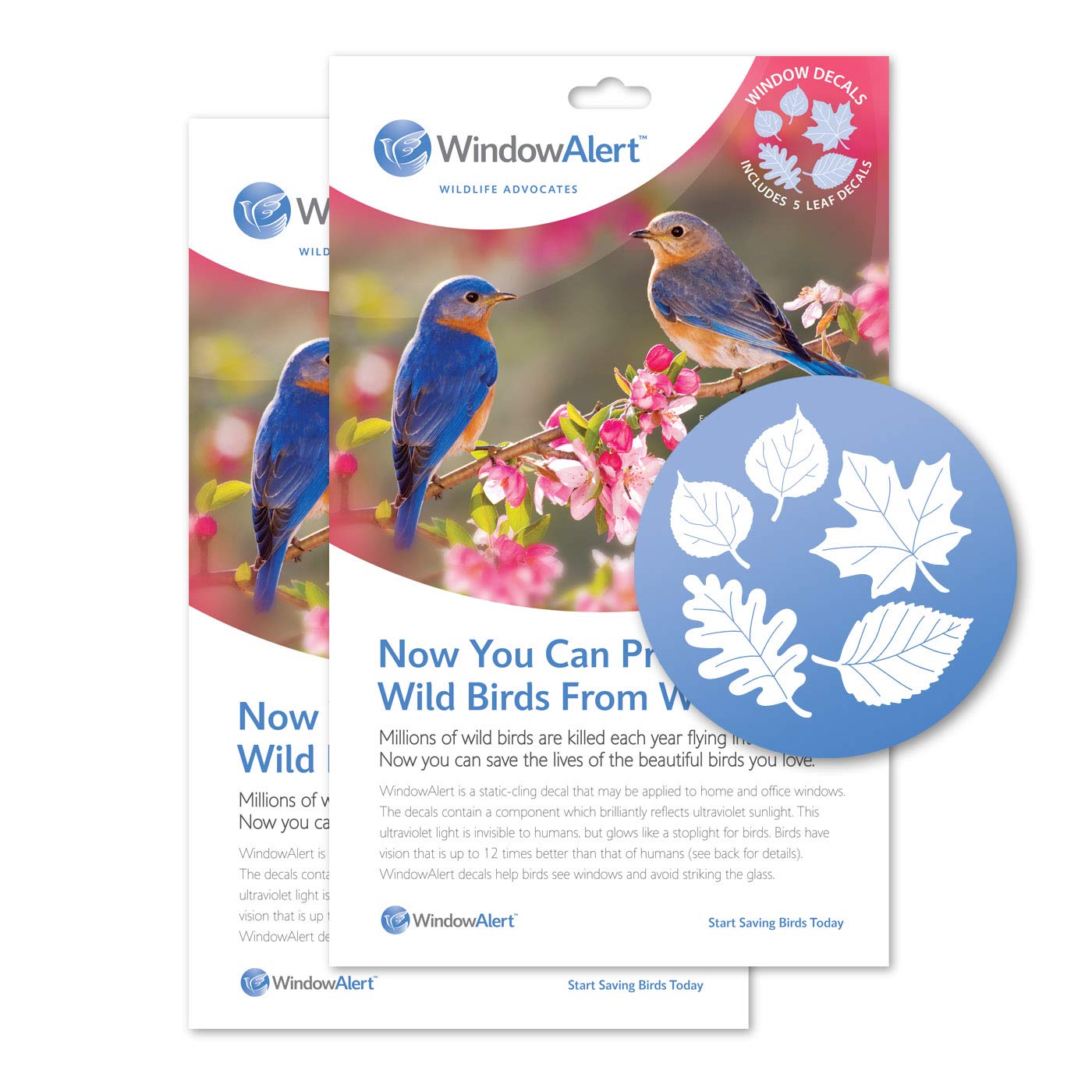 WindowAlert Leaf Medley Anti-Collision Decal - UV-Reflective Window Decal to Protect Wild Birds from Glass Collisions 2-Pack - Made in the USA