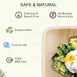 Eco Leaf 25 Disposable Palm Leaf Plates 4in Square Eco Friendly Oven Safe view 4