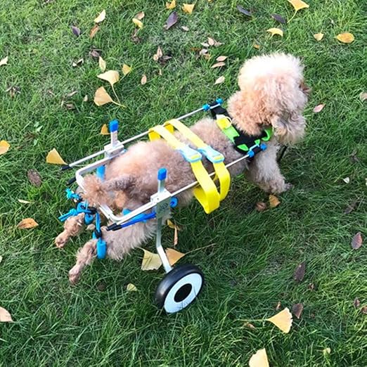 Dog Carriers Assisted Walk Pet Wheelchair for Handicapped Hind Legs