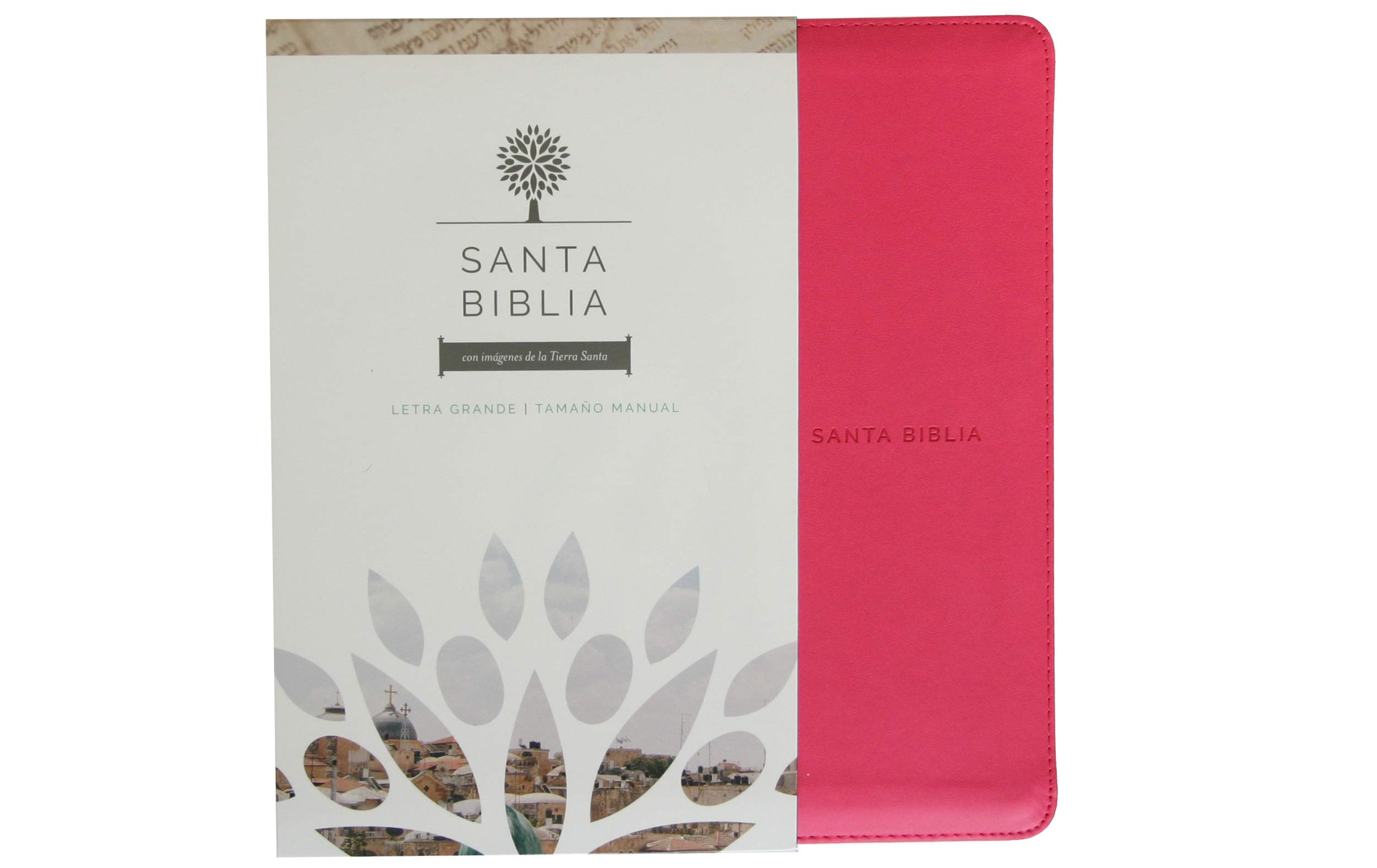 Biblia Reina Valera 1960 letra grande. Símil piel fucsia, cremallera, tamaño manual / Spanish Holy Bible RVR 1960. Handy Size, Large Print, Leathersoft, Zipp (Spanish Edition) Biblia Reina Valera 1960 letra grande. Símil piel fucsia, cremallera, tamaño manual / Spanish Holy Bible RVR 1960. Handy Size, Large Print, Leathersoft, Zipp (Spanish Edition) Bonded Leather