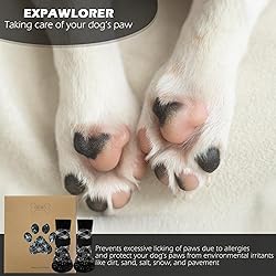 EXPAWLORER Anti Slip Dog Socks to Prevent Licking