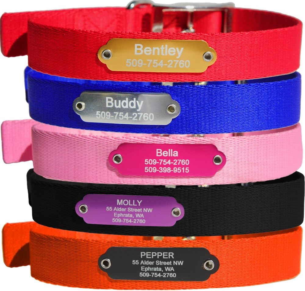 pepper dog collar