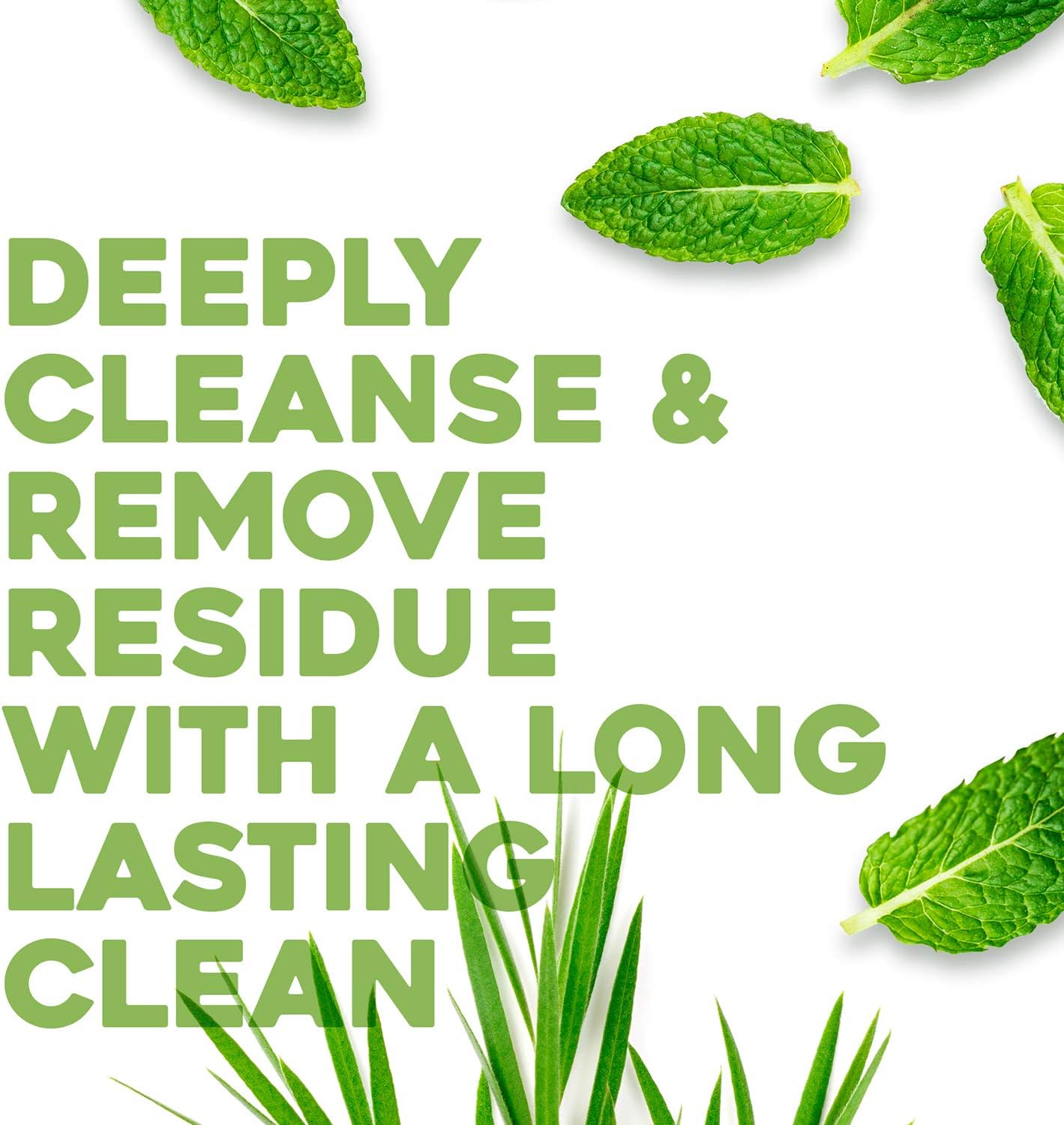 OGX Tea Tree Conditioner for Oily Hair and for Greasy Hair 385 ml - Image 4