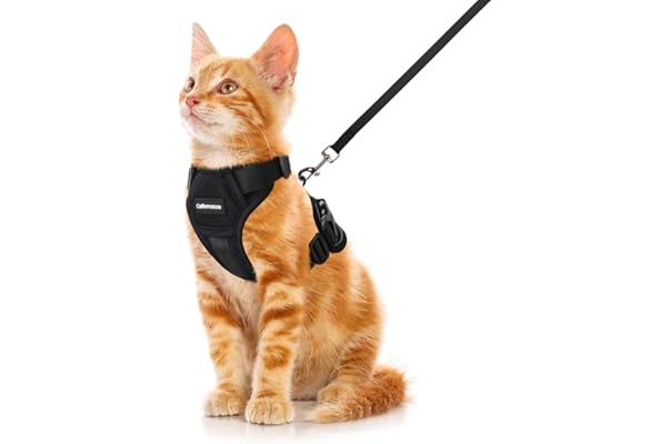 escape proof cat harness amazon