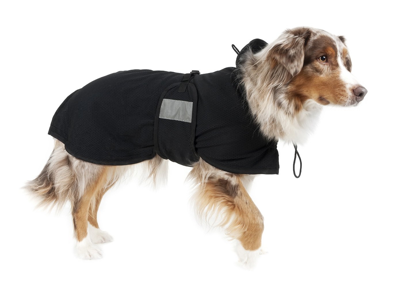 Back on Track Therapeutic Dog Mesh Rug, 40cm Back Length