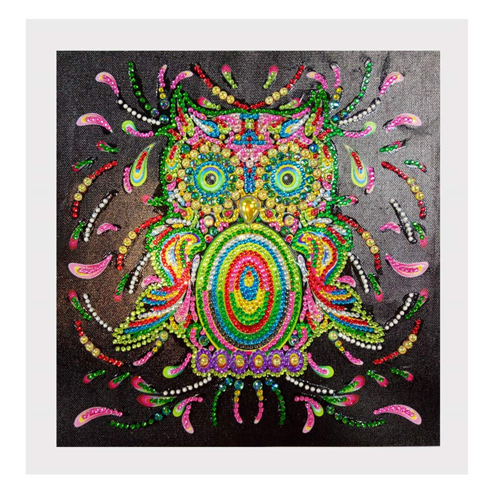 ABEUTY Diamond Painting DIY 5D Special Shape Rhinestones, Colorful Owl, Partial Drill Crystal Diamond Art Kits
