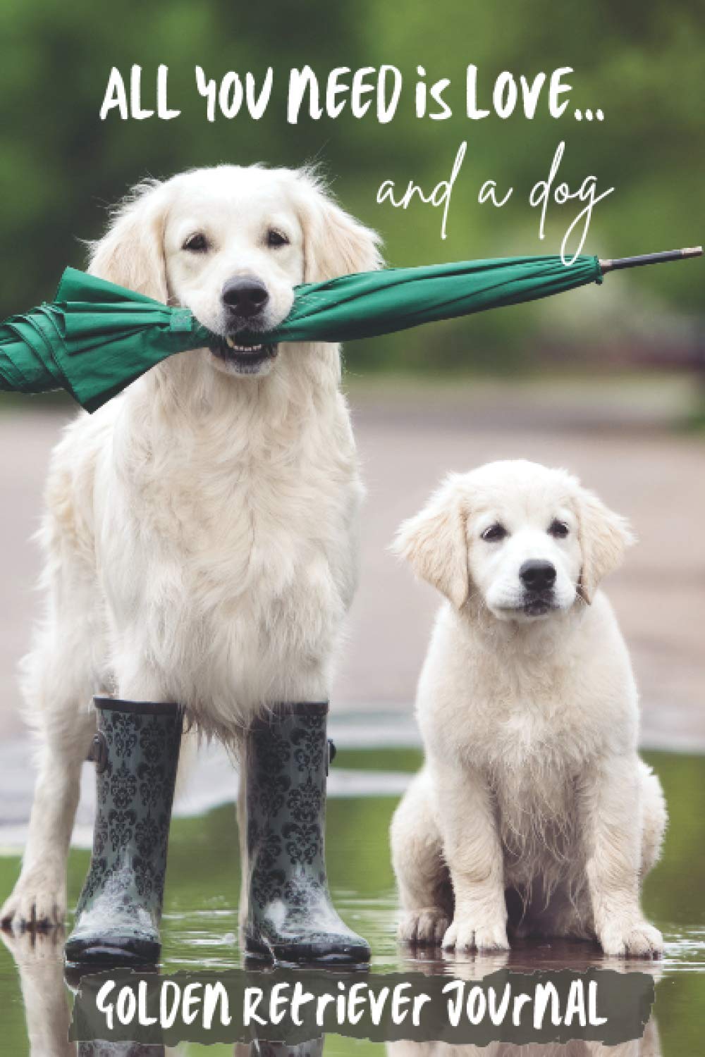 All You Need is Love…and a Dog: Golden Retriever Lined Journal / Notebook Gift