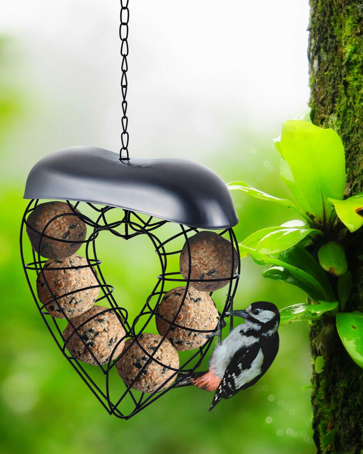 Deluxe Heart Shaped Wild Bird Feeder - Fat Ball Suet Feeder