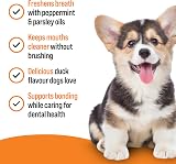 VETIQ Healthy Treats Denti-Care For Dogs & Puppies 70 g Pack of 4 view 3
