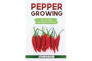 Pepper Growing: How to Grow Hot Peppers at Home