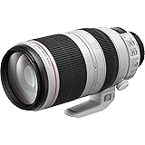 Canon EF 100-400mm f/4.5-5.6L is II USM - International Version (No Warranty)