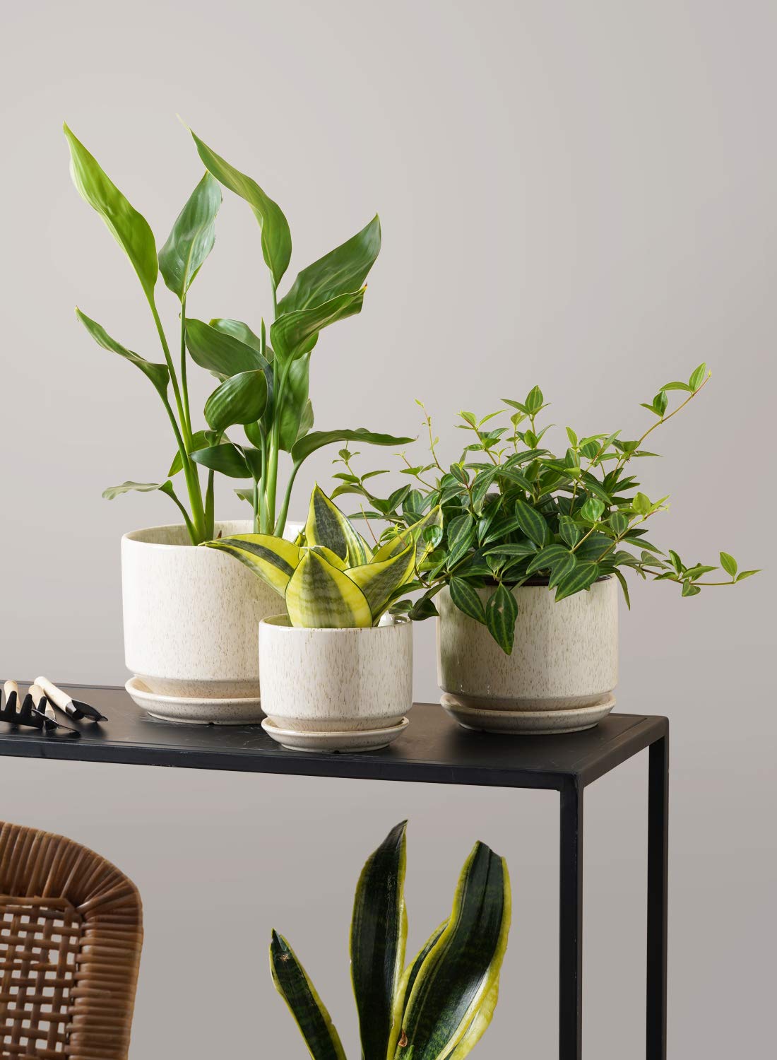 Ceramic Plant Pots