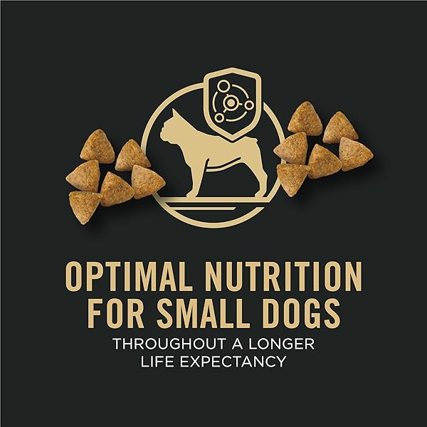 PURINA PRO PLAN SMALL BREED DRY DOG FOOD CHICKEN AND RICE FORMULA WITH GUARANTEED LIVE PROBIOTICS – 6 LB. BAG