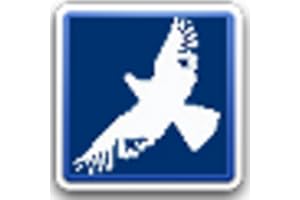 World Birds