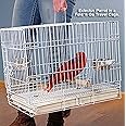 Durable Portable Collapsible Metal Travel or Veterinary Collapsable Parrot Bird Carrier Beaks Proof Cage with Stainless Steel Feeder Bowls Natural Wooden Perch