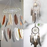 TZMFHD 50 Pcs Pheasant Feathers 12-20cm Natural Craft Feathers 4 Styles DIY view 3